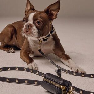 BLACK/GOLD STUDDED PEBBLE LEATHER DOG LEASH AND COLLAR SET - LARGE
